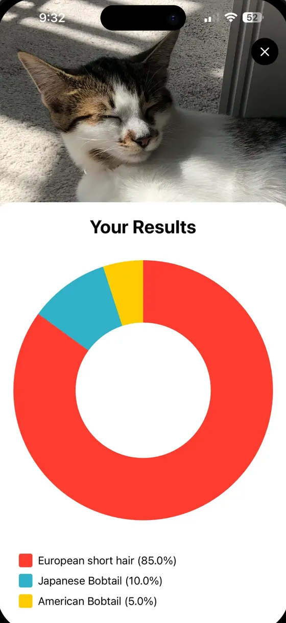 Cat Identifier result showing a donut chart: European shorthair 85 percent, Japanese Bobtail 10 percent, American Bobtail 5 percent